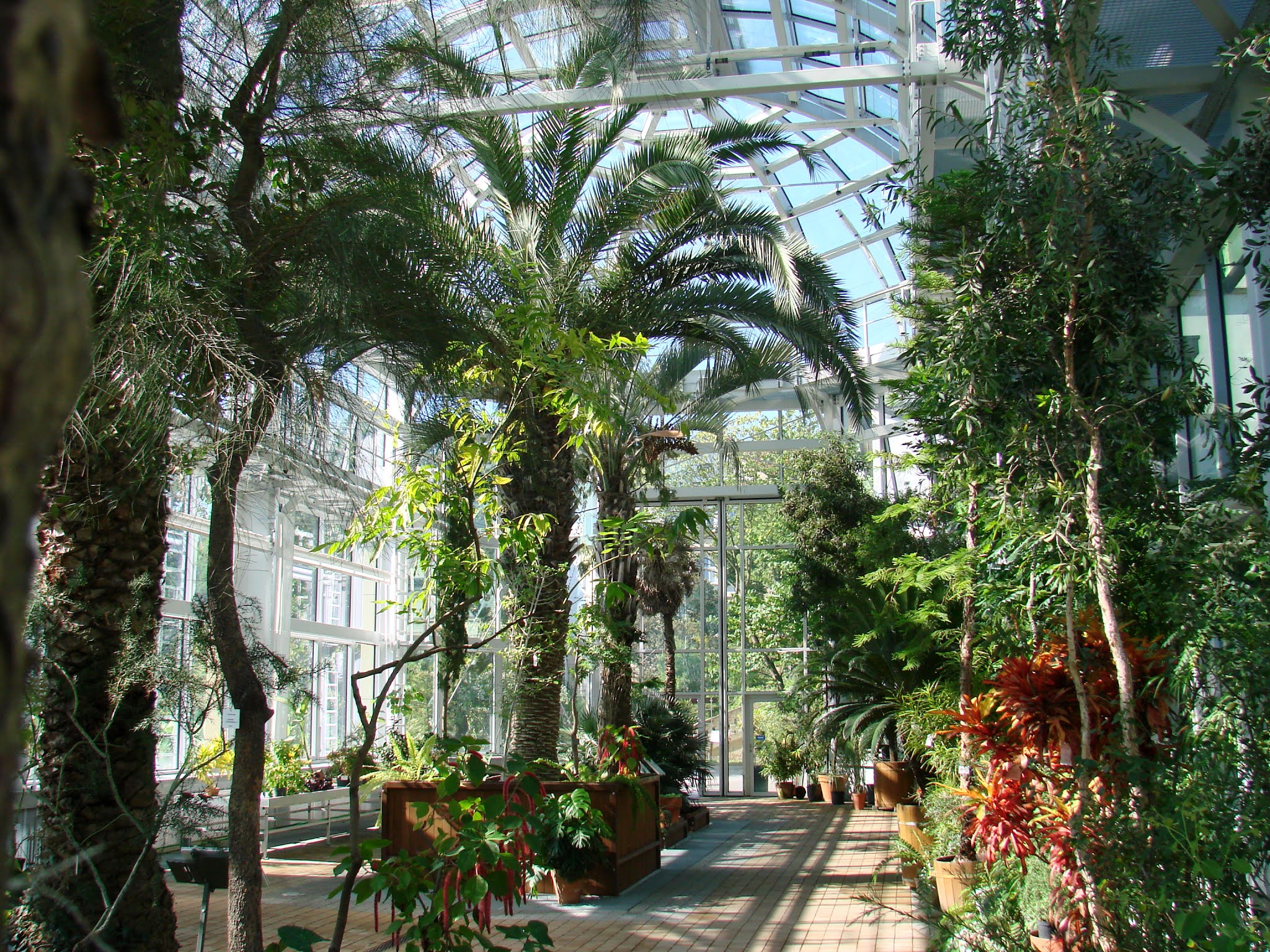 The photo shows Ogród Botaniczny Uniwersytetu Jagiellońskiego