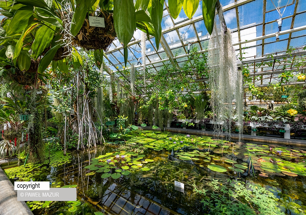 The photo shows Ogród Botaniczny Uniwersytetu Jagiellońskiego