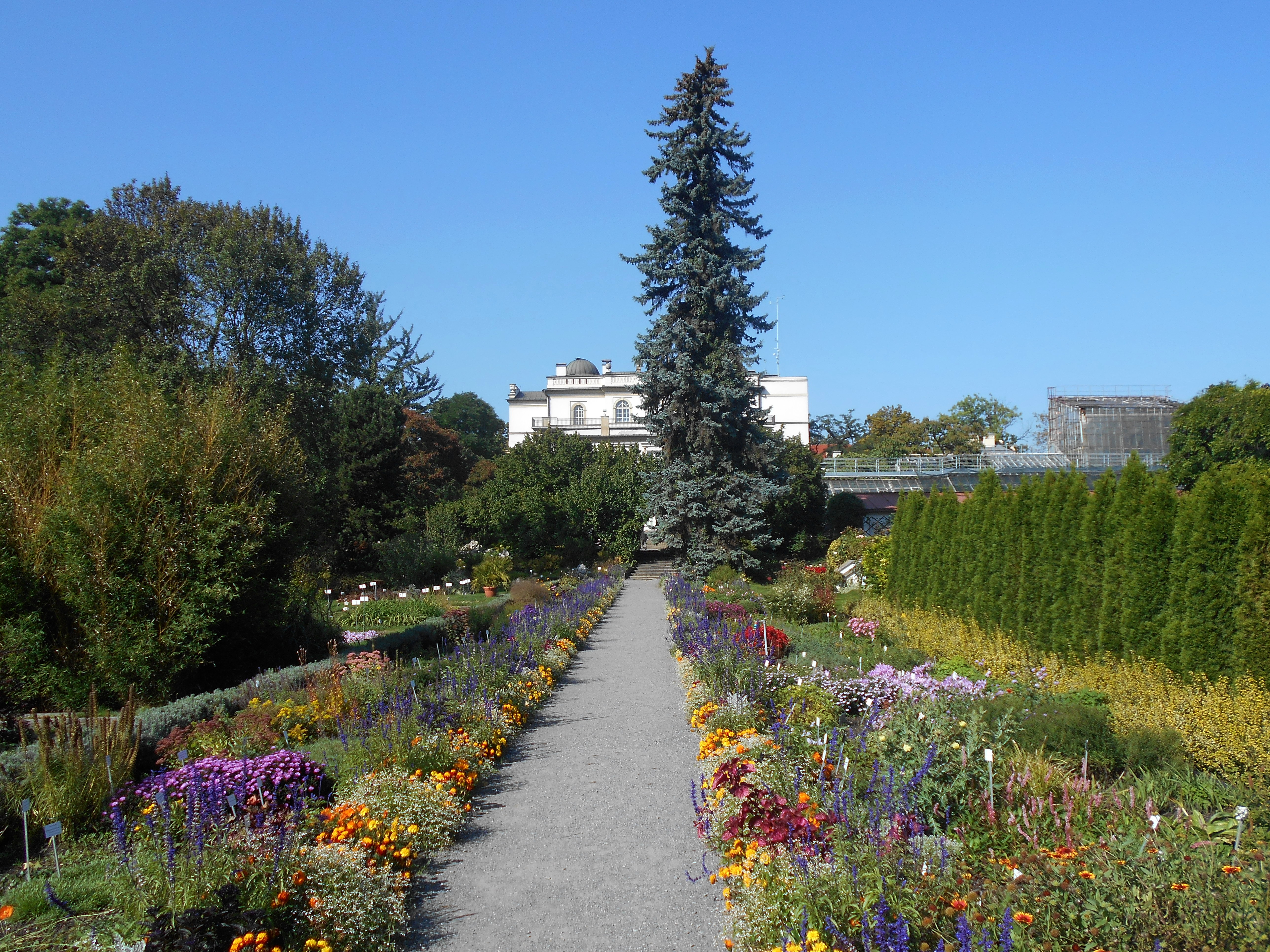 The photo shows Ogród Botaniczny Uniwersytetu Jagiellońskiego