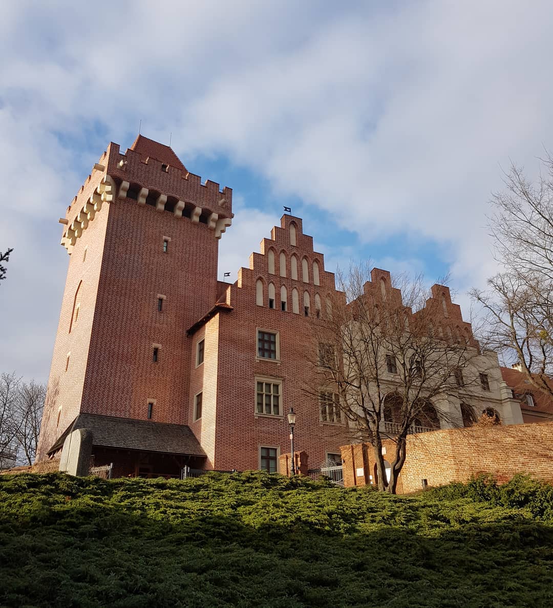 The photo shows Zamek Królewski w Poznaniu