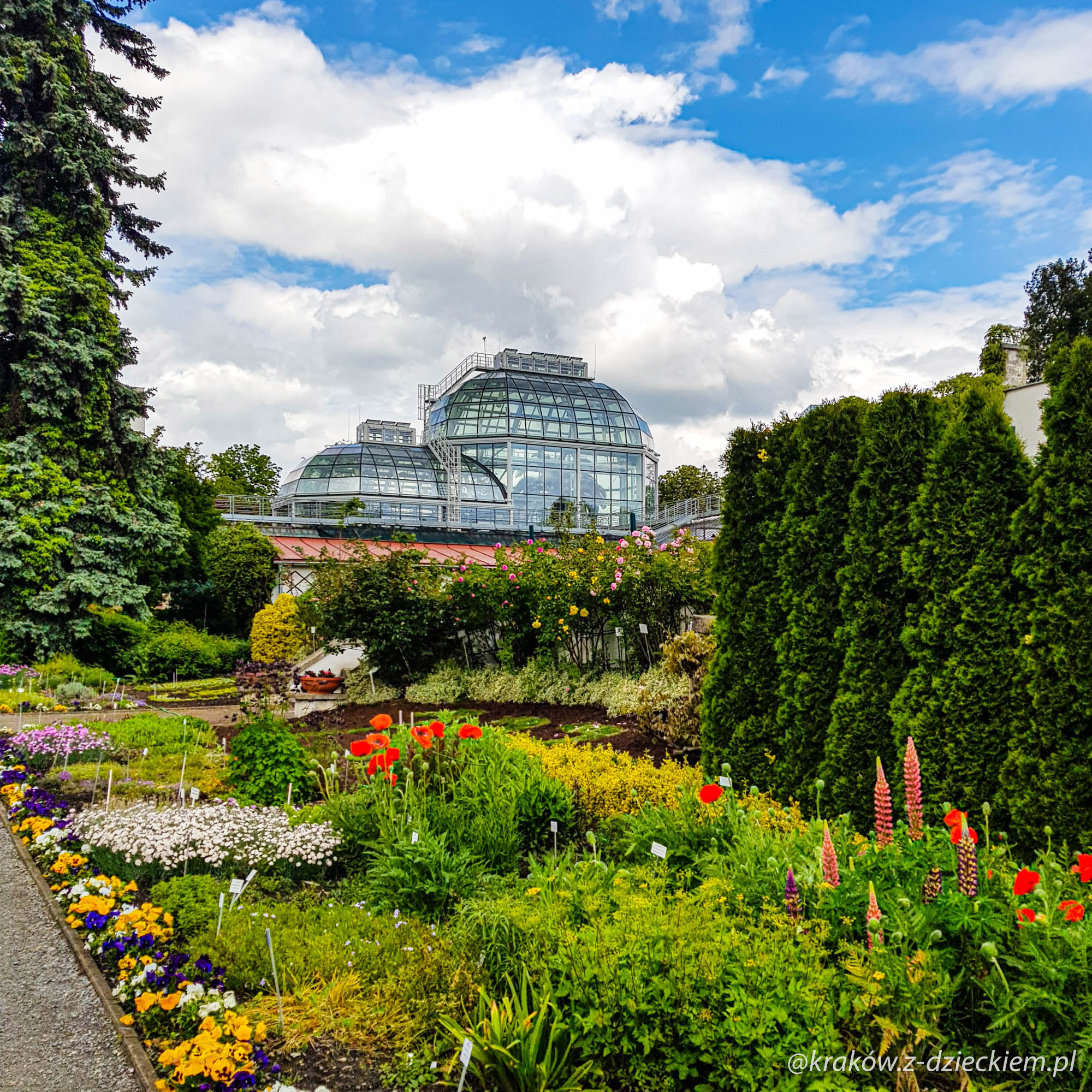 The photo shows Ogród Botaniczny Uniwersytetu Jagiellońskiego